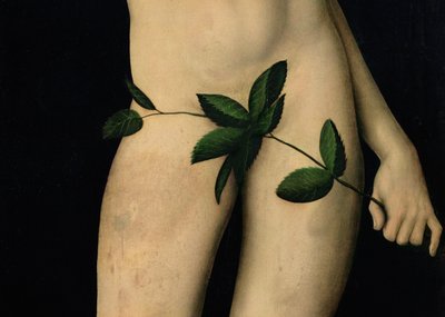 Adam (detail) by Lucas Cranach the Elder